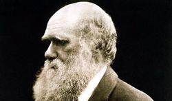 Vidéo - Charles Darwin et la sélection naturelle