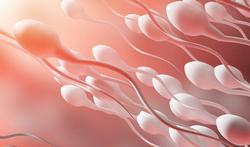 Augmenter le nombre de spermatozoïdes : 11 conseils et remèdes naturels