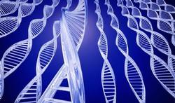 Negen genen voorspellen ziekteverloop prostaatkanker