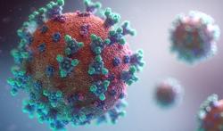 Grippe et coronavirus, si semblables... et si différents