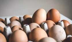 Eieren bewaren: in de koelkast of niet?