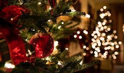 unsplash_kerst_versiering_kerstboom.jpg