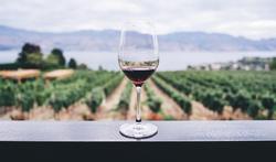 Is een glas rode wijn gezond?