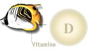 Hebt u extra vitamine D nodig?