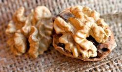 Pourquoi les noix protègent si bien vos artères