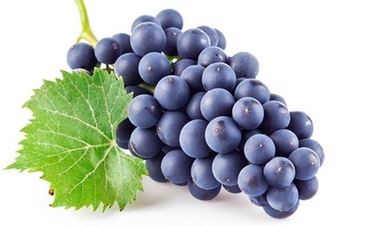 123-druif-druiven-170-2.jpg