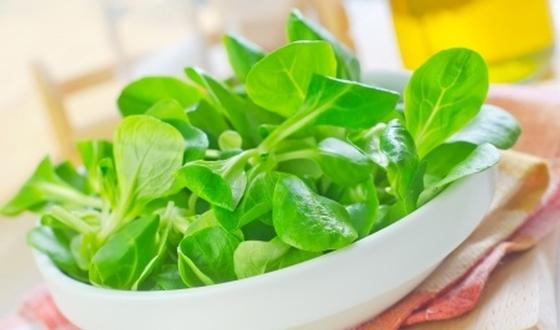 123-groen-salade-valerianella-170-10.jpg