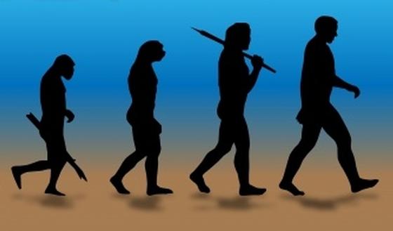 123-mens-evolutie-prehis-170-9.jpg