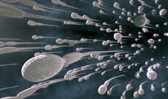 123-p-sperma-170-5.jpg
