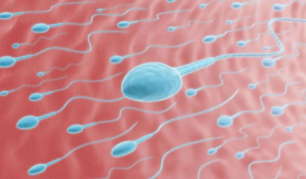 123-zaadc-sperm-vruchtb-04-18.jpg