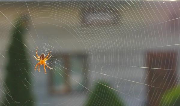 123h-spin-web-06-19.jpg