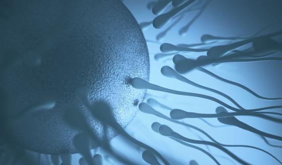 123m-sperm-20-11-19.jpg