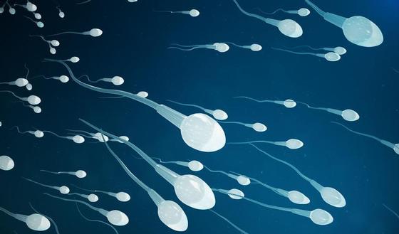 123m-sperm-fertil-sex-7-9-20.jpg