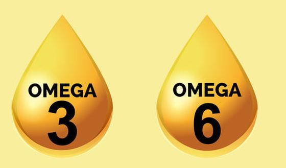 123m-voeding-omega-21-8.jpg