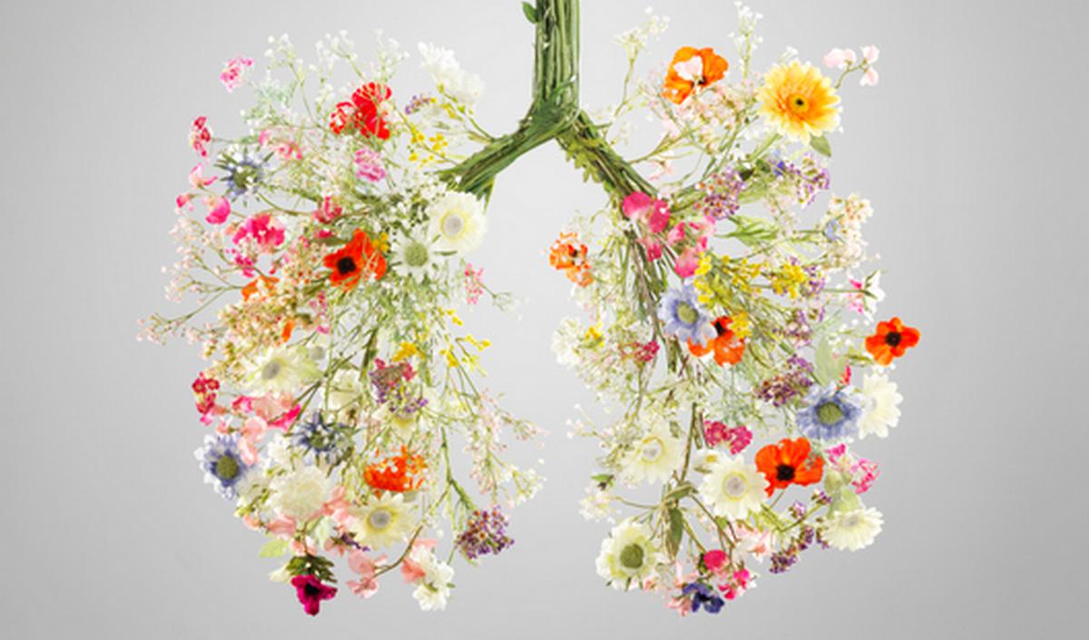 Getty_microbiote_longmicrobioom_2025.jpg