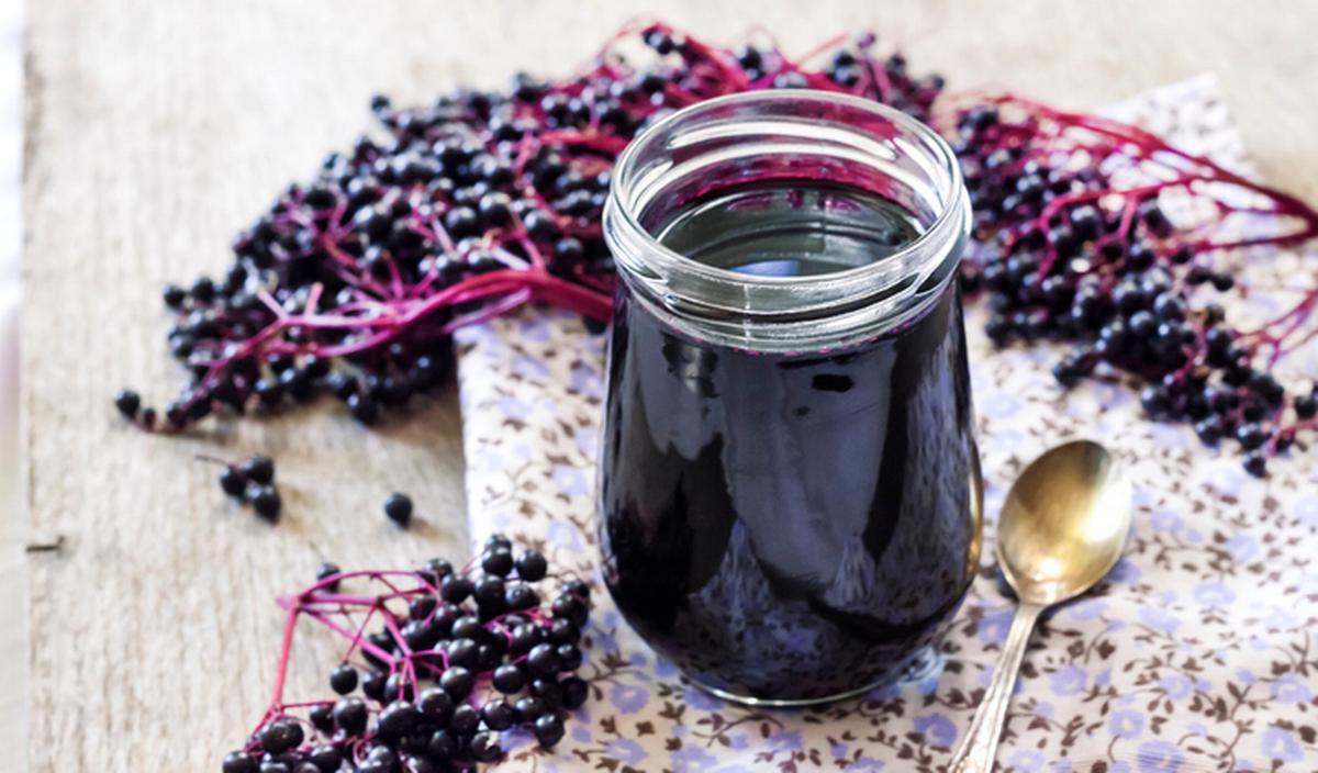 © Getty Images - Jus de baies de sureau Getty_vlier_2025.jpg