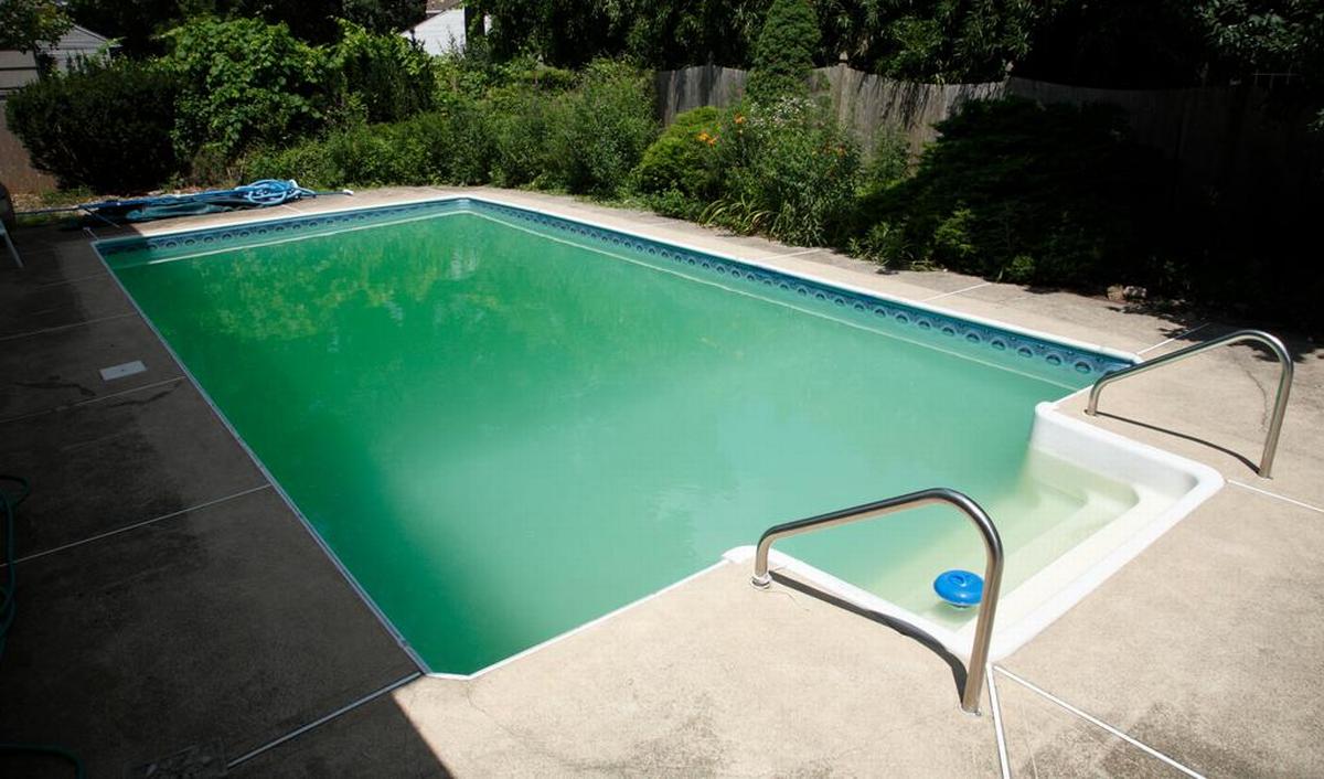 Getty_zwembad_groenwater_2025.jpg